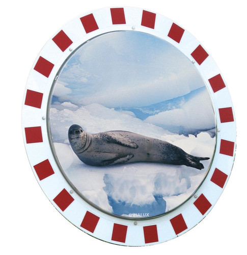 Artikelbild