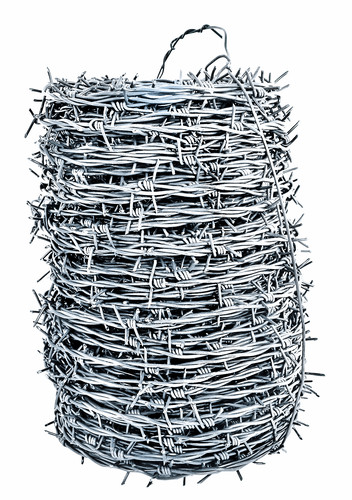 Artikelbild