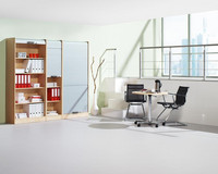 Büro-Rolladenschränke