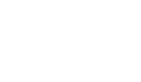 DDS online Logo in weiß